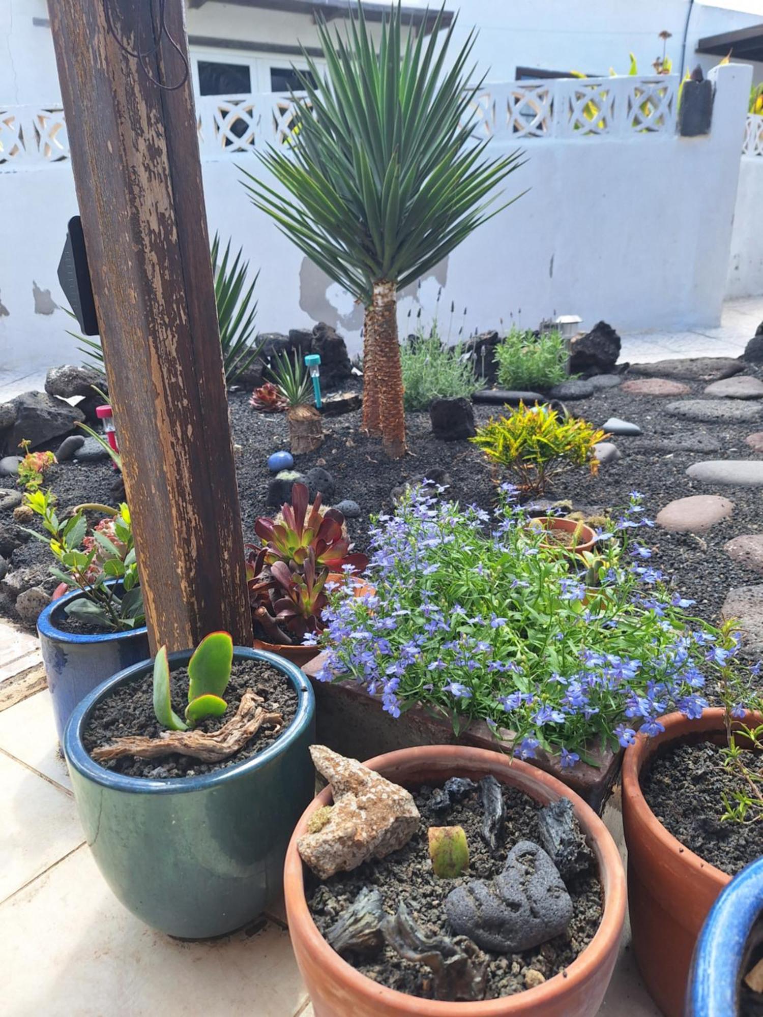 Casita Pequena Lanzarote Villa Teguise  Exteriör bild